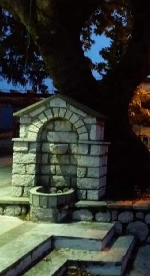 Άγρια Λούλουδα Κατοικία Αρμονία Timfristos Extérieur photo
