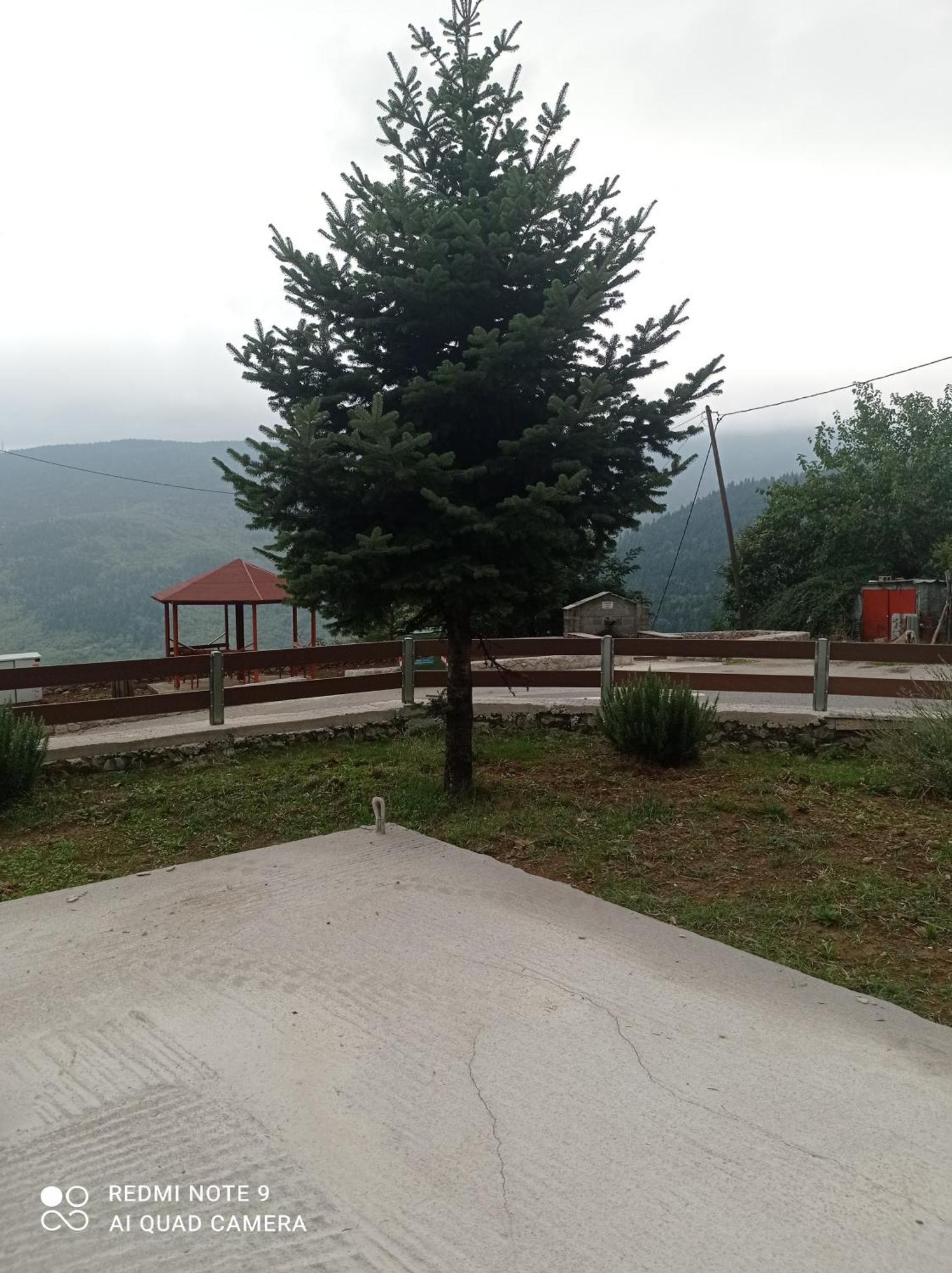 Άγρια Λούλουδα Κατοικία Αρμονία Timfristos Extérieur photo